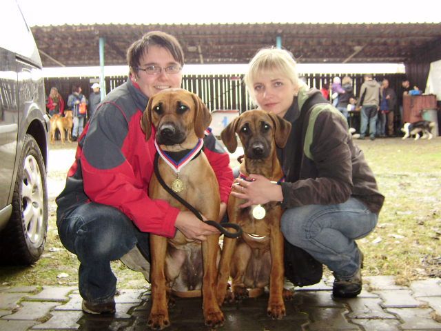 Bailey (vpravo) a Cilla (vlevo)